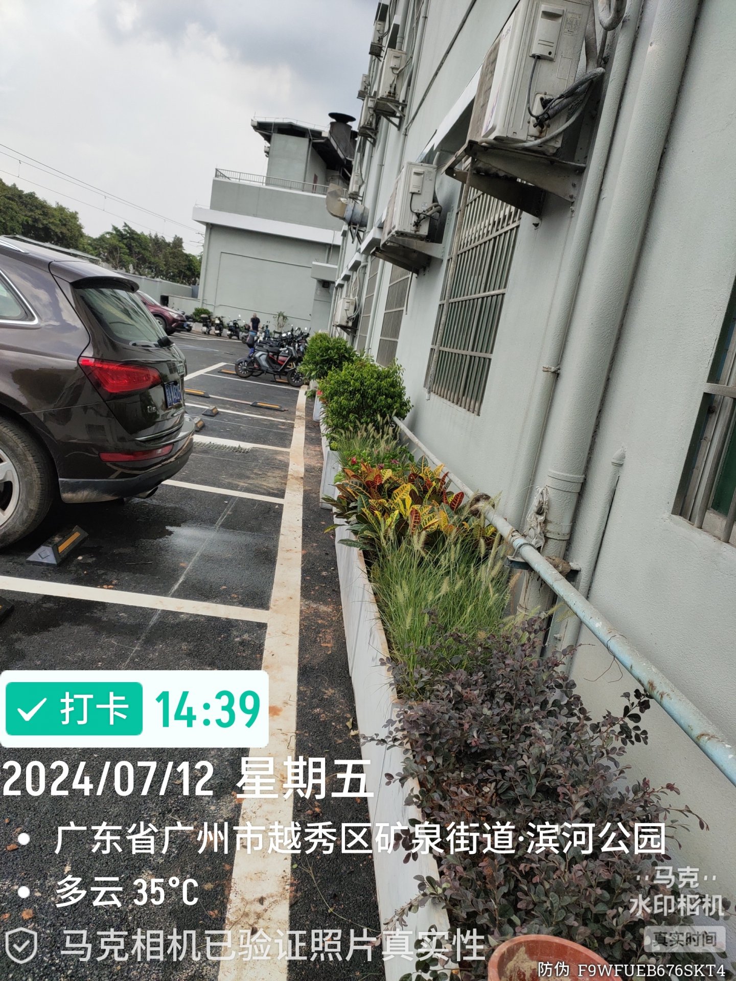 企业荣誉