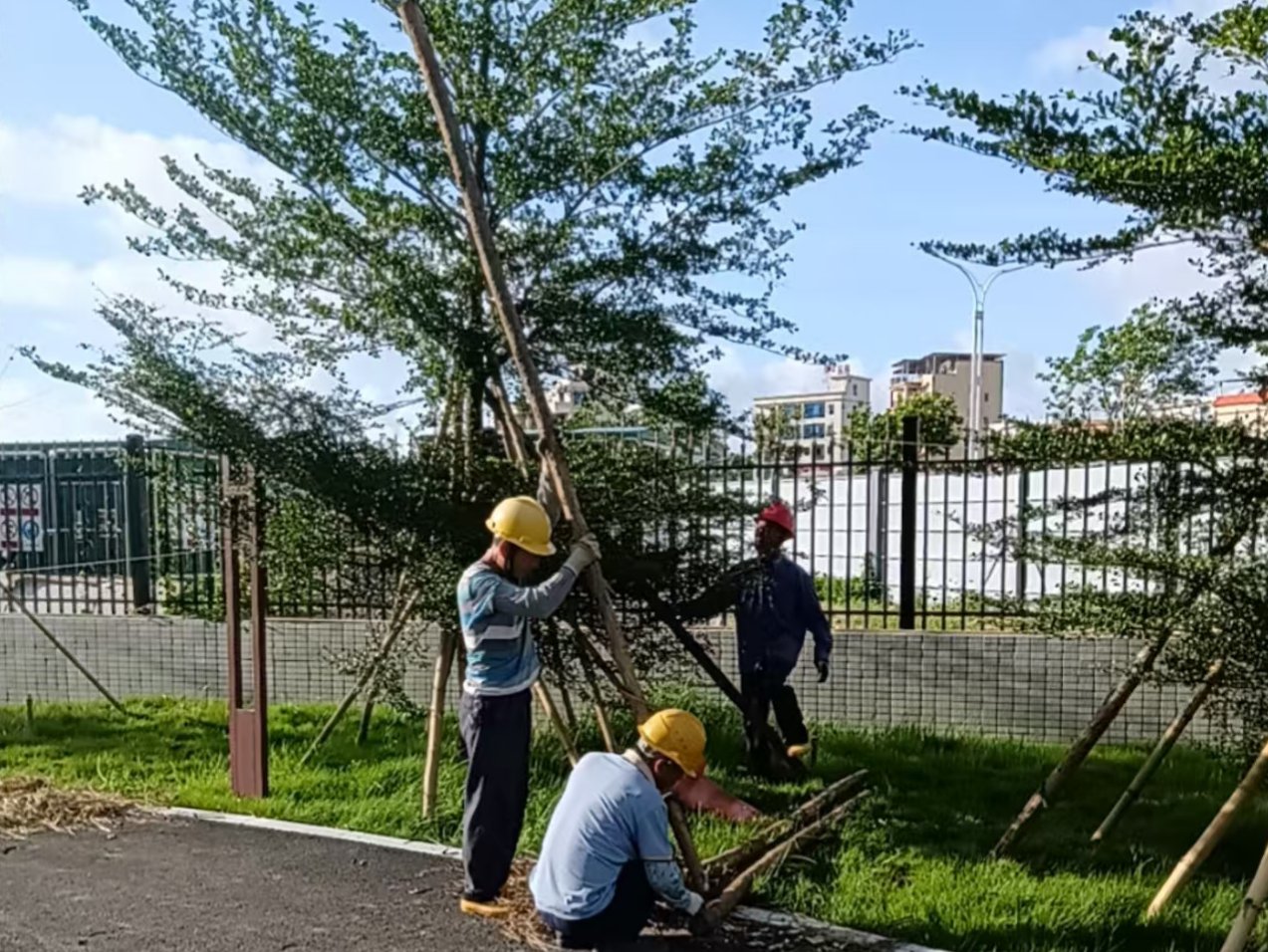 易游体育app下载免费手机版登录