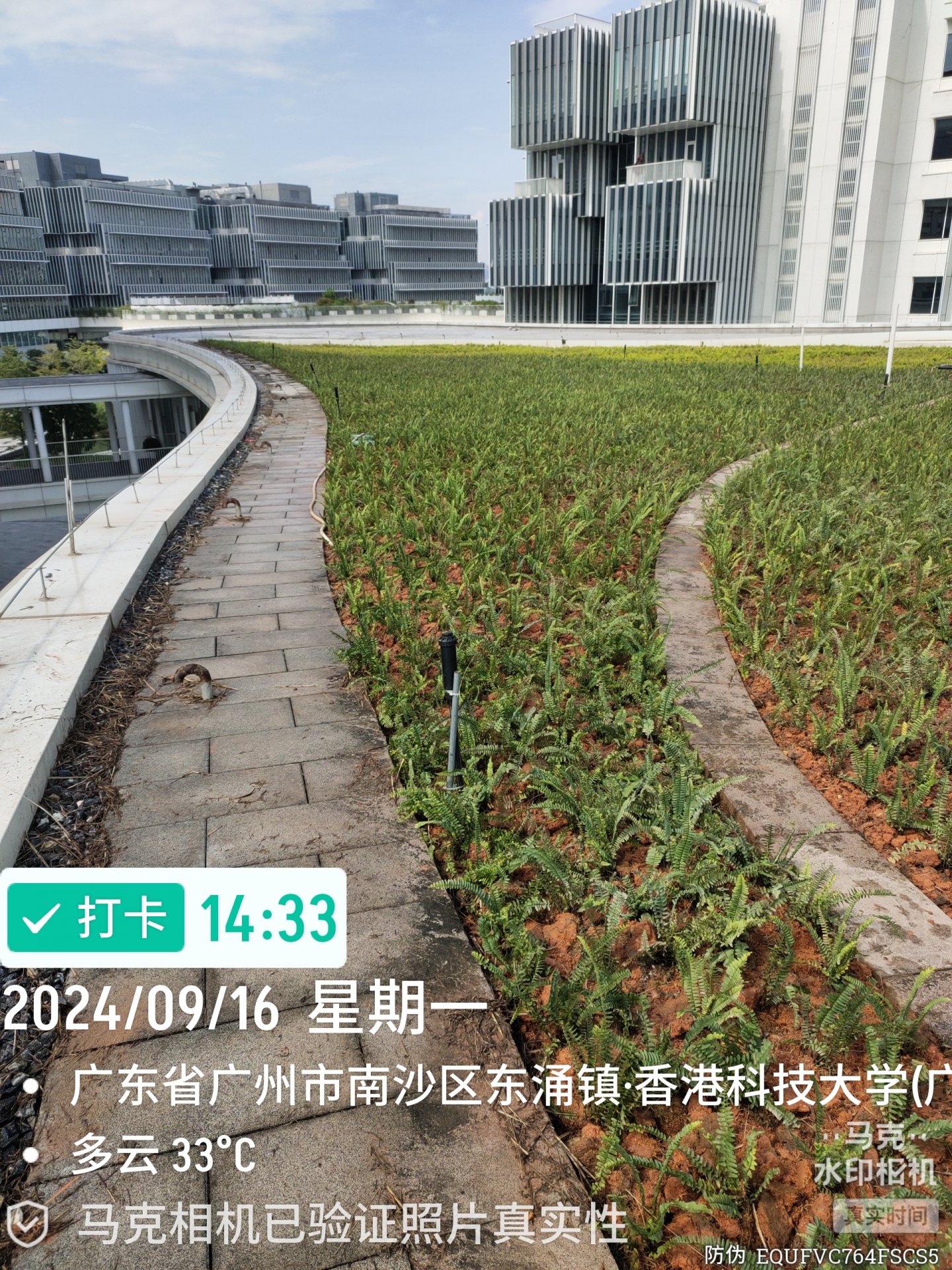 企业优势