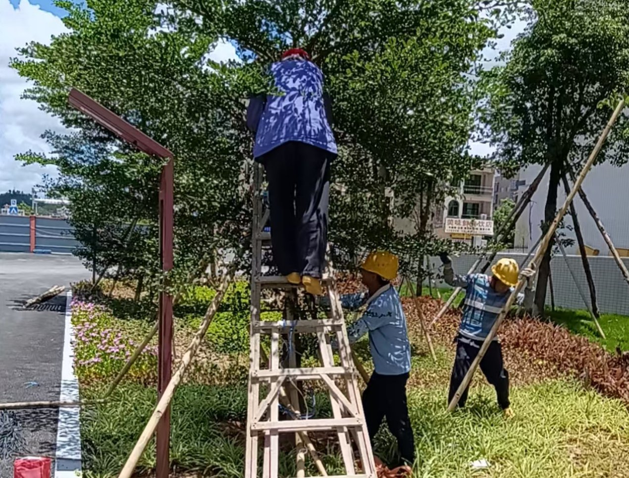 欢迎来到易游体育app下载免费手机版