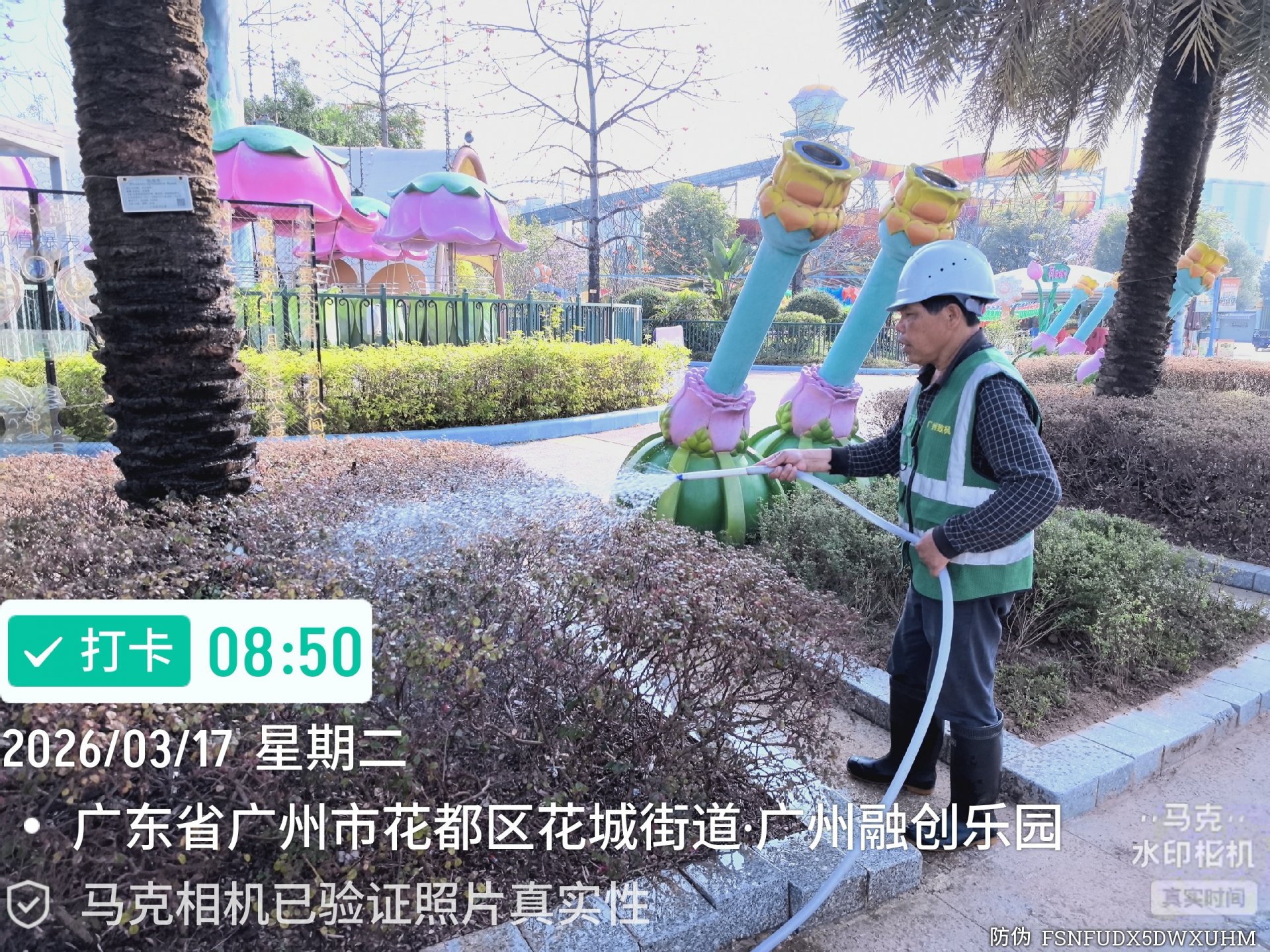 企业荣誉