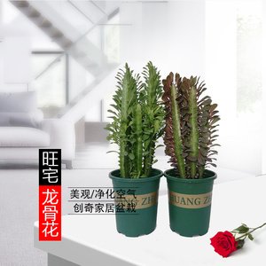 易游体育app下载免费官方网站