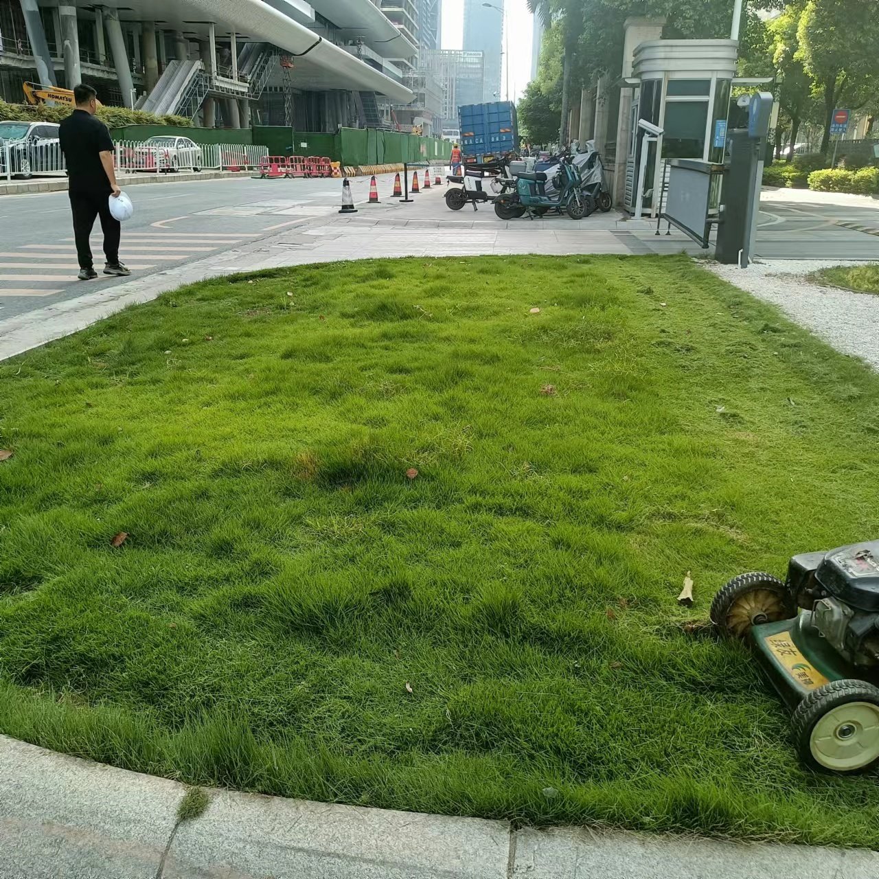 关于致枫