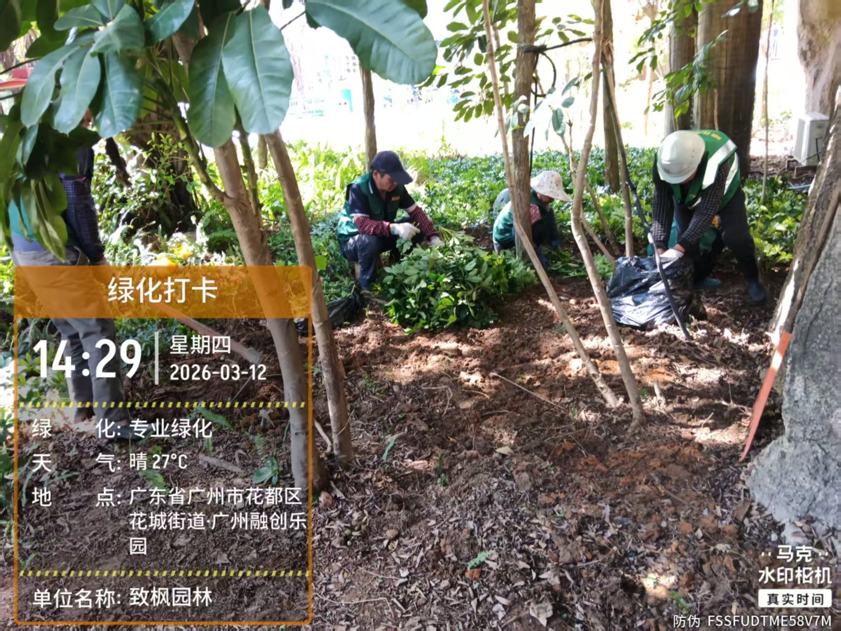 易游体育app免费下载