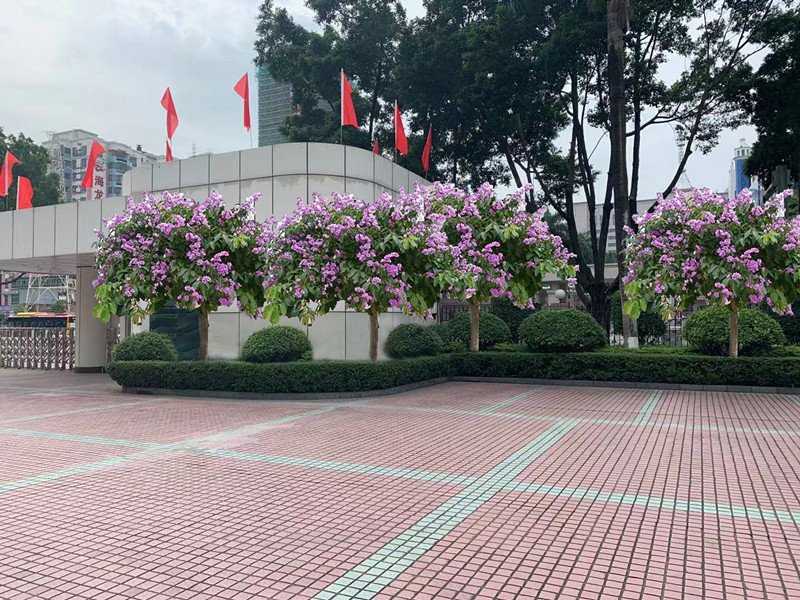 易游体育app下载免费官方正版简介