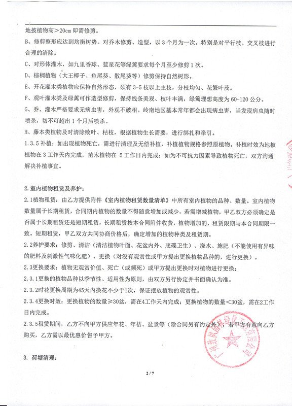 关于致枫
