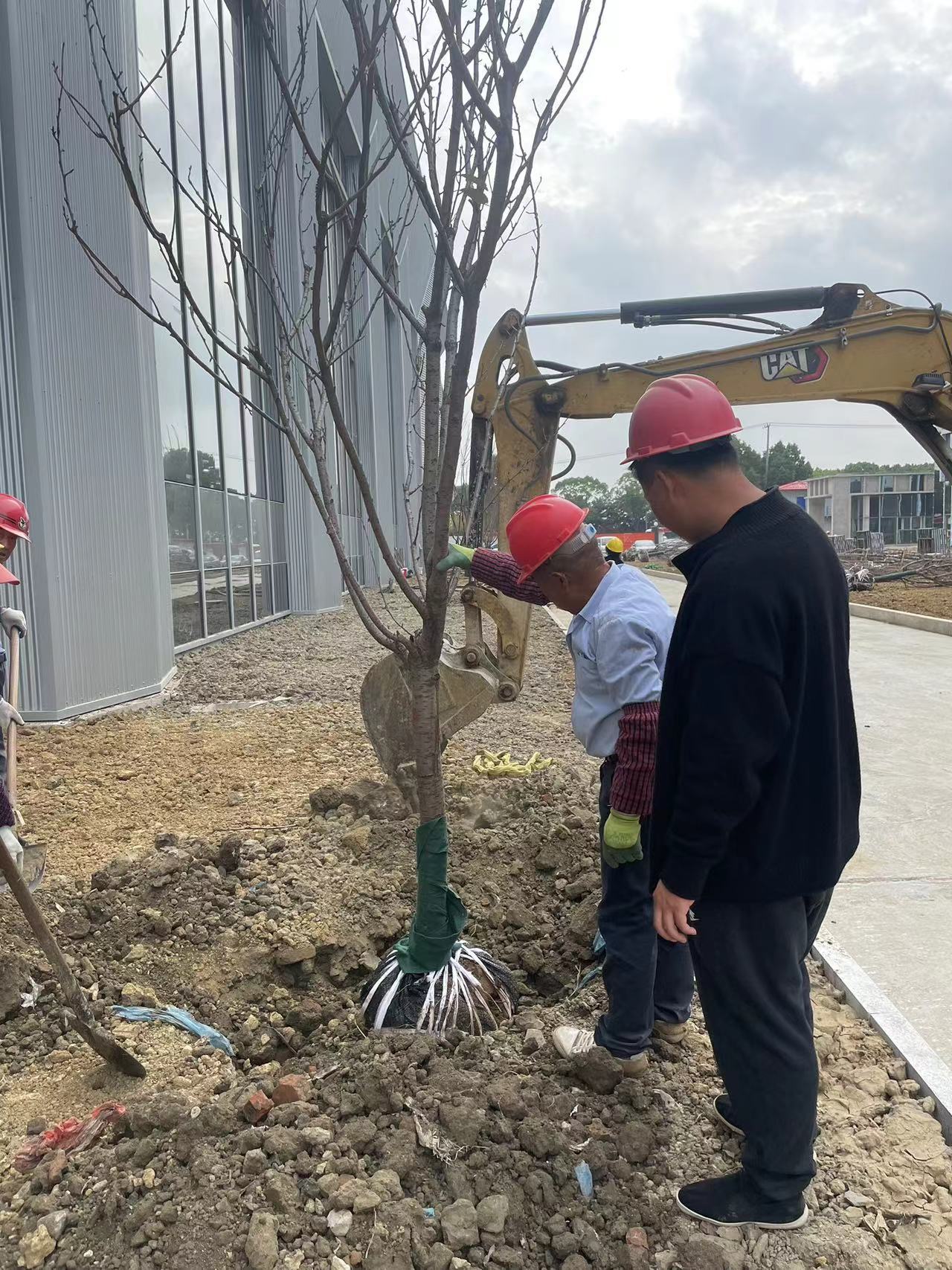 欢迎来到易游体育app免费下载新人权