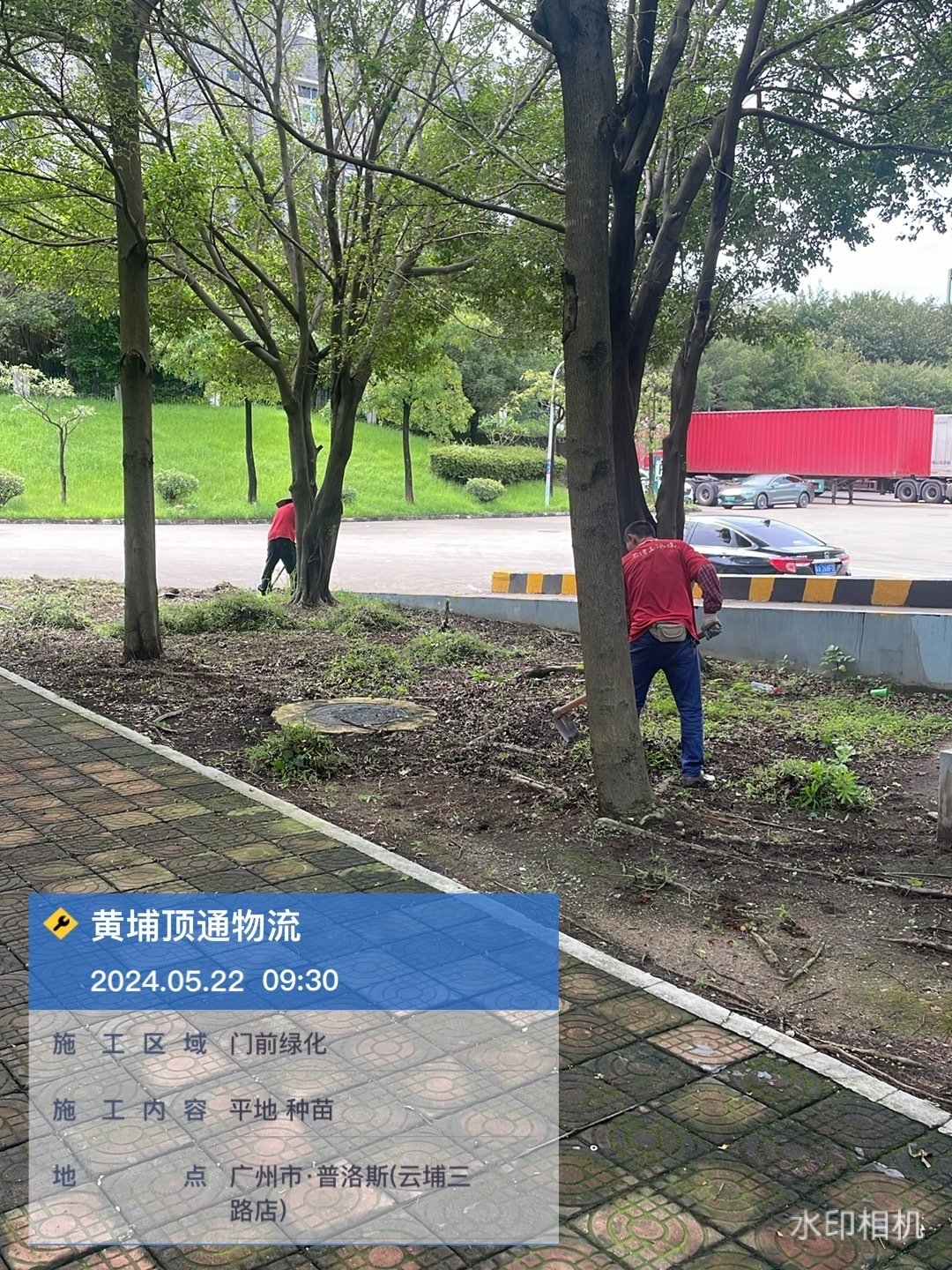 关于致枫