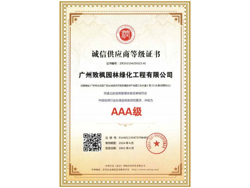 关于致枫