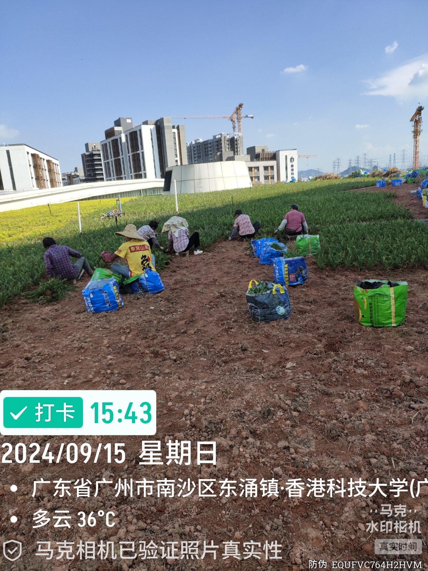 易游体育app下载免费使用方法简介