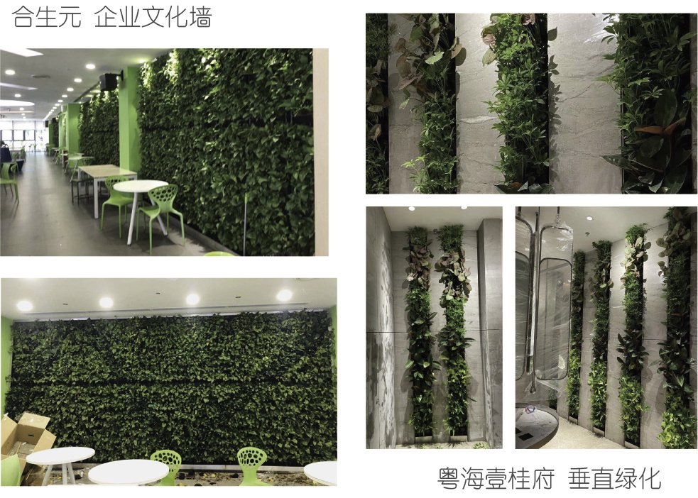 易游体育app下载免费官方渠道简介