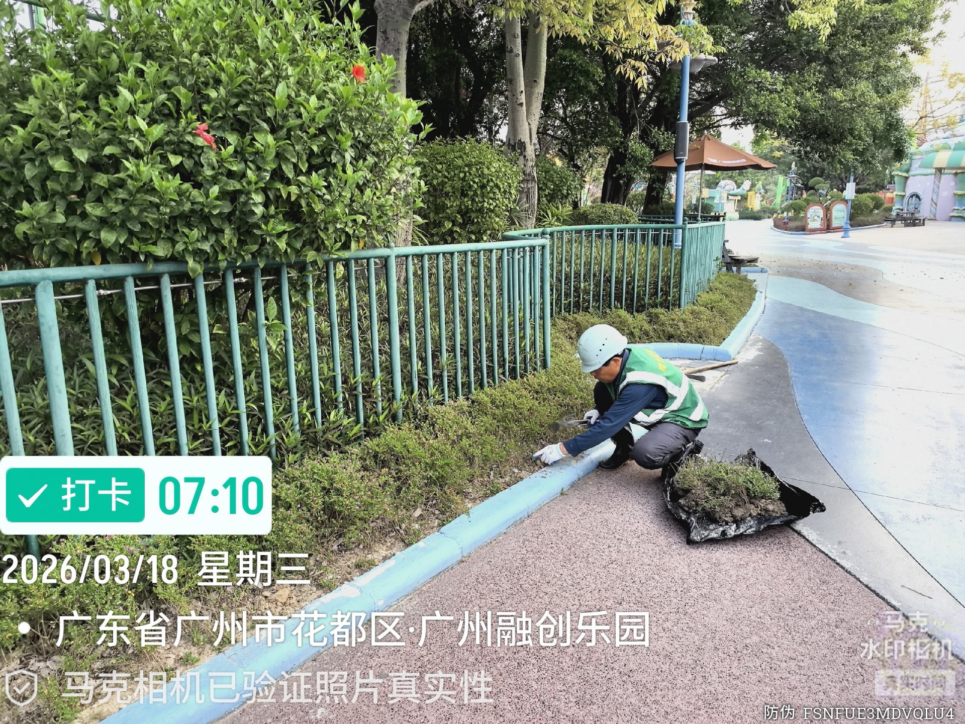 关于致枫